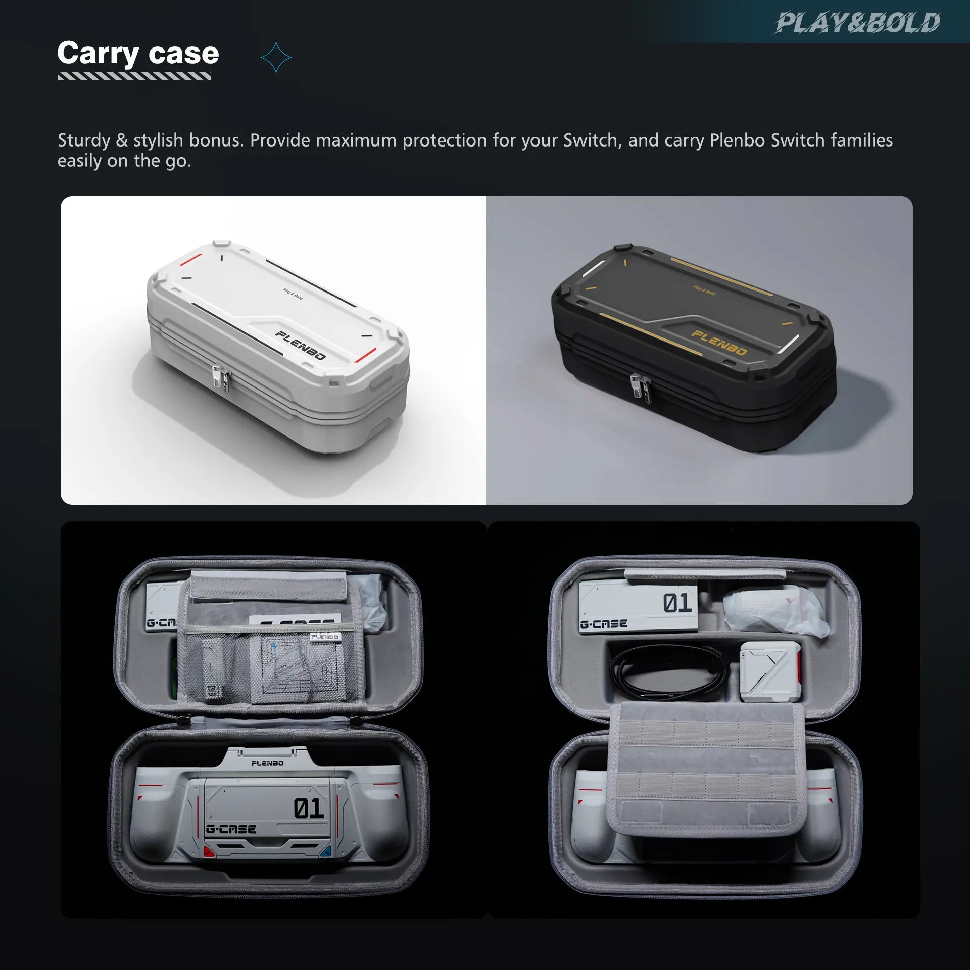 internal layout of carrying case