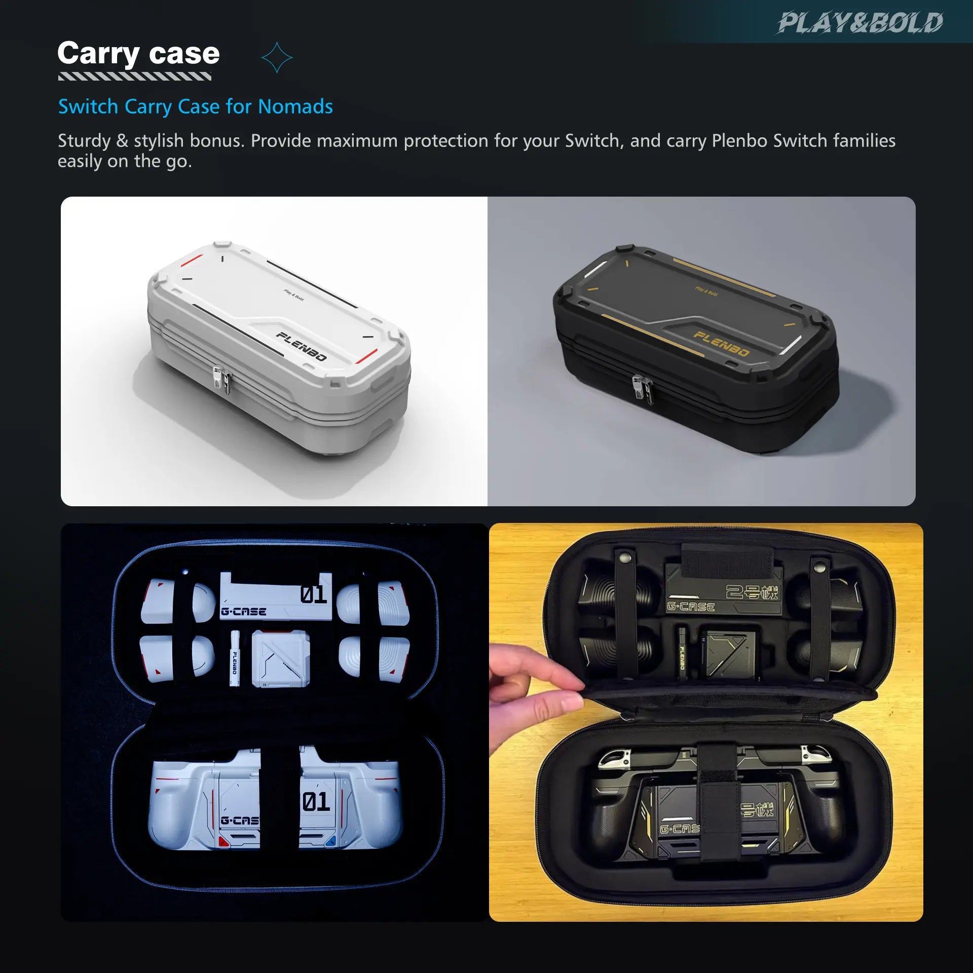 internal layout of the carrying case